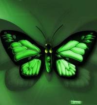 pic for Green Butterfly